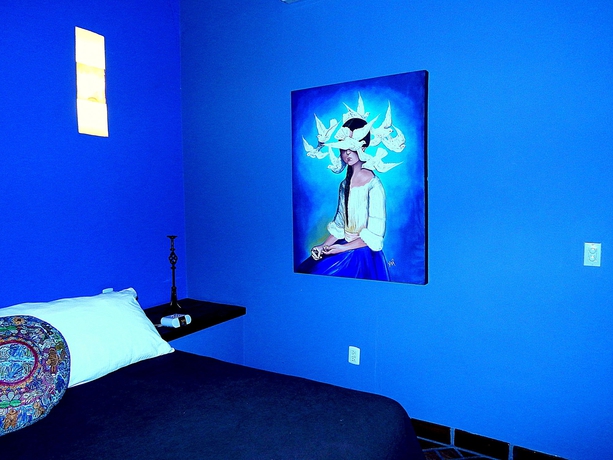 Imagen de la habitación del Hotel La Villa Del Ensueno. Foto 11