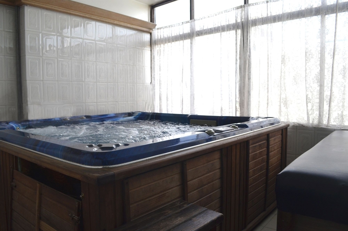 Imagen de la piscina del Hotel La Vinci. Foto 12