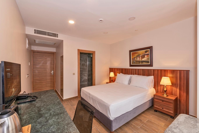 Imagen general del Hotel La Wisteria Boutique Istanbul. Foto 7