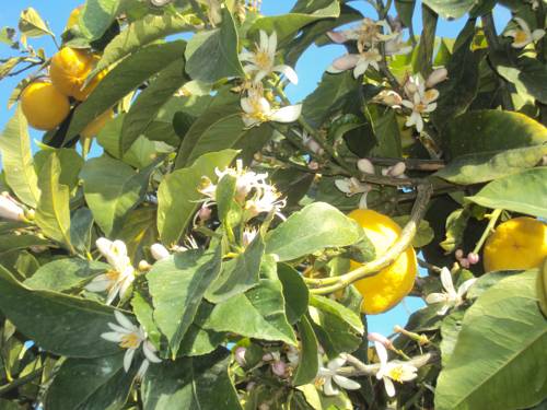 Imagen de la habitación del Hotel La Zagara, Lipari. Foto 15