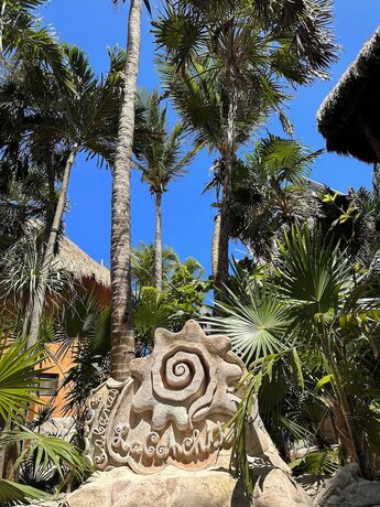 Imagen general del Hotel La conchita Tulum. Foto 3