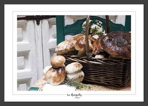 Imagen general del Hotel La muñequilla. Foto 9