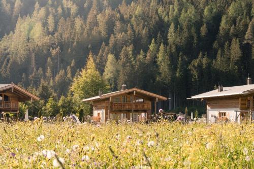 Imagen general del Hotel LaPosch - Living Lands. Foto 9