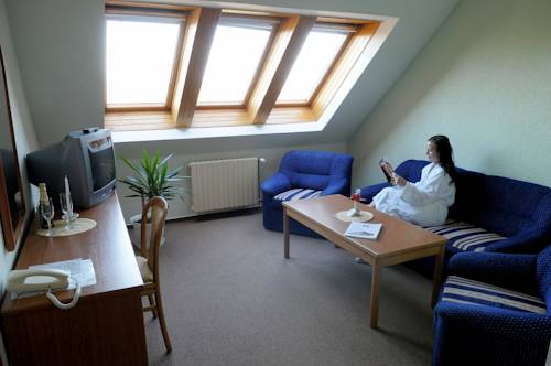 Imagen de la habitación del Hotel L&aacute;zeňsk&yacute; Pyramida I. Foto 4