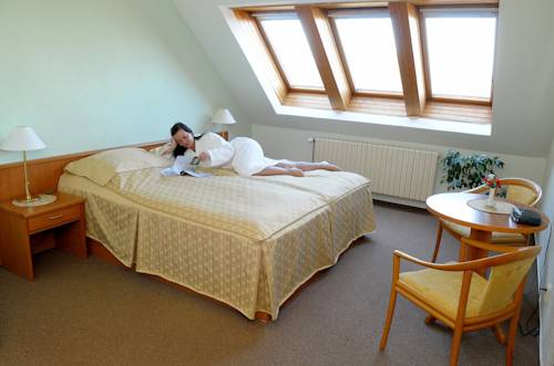 Imagen de la habitación del Hotel L&aacute;zeňsk&yacute; Pyramida I. Foto 10