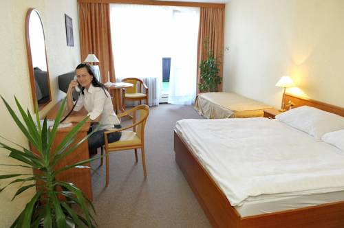 Imagen de la habitación del Hotel L&aacute;zeňsk&yacute; Pyramida I. Foto 11