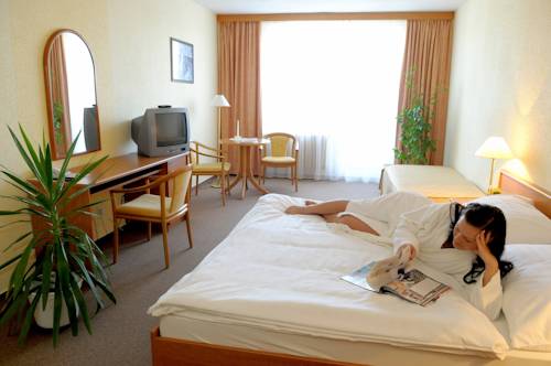 Imagen de la habitación del Hotel L&aacute;zeňsk&yacute; Pyramida I. Foto 12