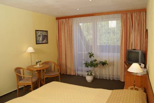 Imagen de la habitación del Hotel L&aacute;zeňsk&yacute; Pyramida I. Foto 14
