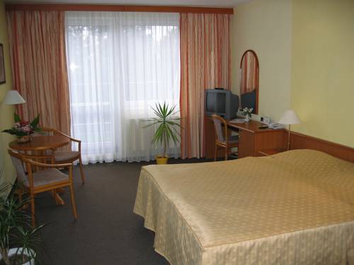 Imagen de la habitación del Hotel L&aacute;zeňsk&yacute; Pyramida I. Foto 15