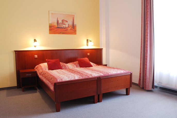 Imagen de la habitación del Hotel L&aacute;zeňsk&yacute; hotel Sadov&yacute; Pramen. Foto 12