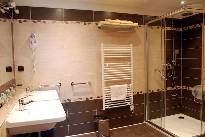 Imagen de la habitación del Hotel L&aacute;zeňsk&yacute; hotel Sadov&yacute; Pramen. Foto 13