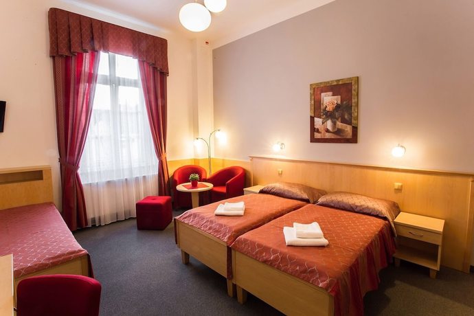 Imagen de la habitación del Hotel L&aacute;zeňsk&yacute; hotel Sadov&yacute; Pramen. Foto 14