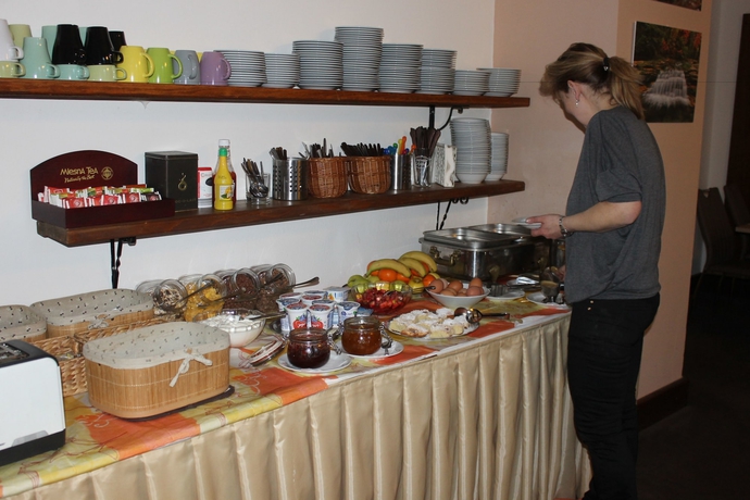 Imagen del bar/restaurante del Hotel Labuť. Foto 8
