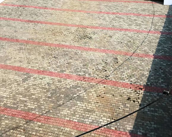 Imagen de los exteriores del Hotel Lacoul Inn. Foto 8