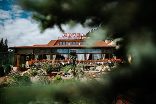 Imagen general del Hotel Lacu Rosu. Foto 2