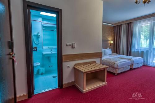 Imagen general del Hotel Lacu Rosu. Foto 3