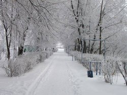 Imagen general del Hotel Lada Hotel. Foto 4