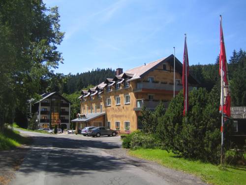 Imagen general del Hotel Ladenmühle. Foto 1
