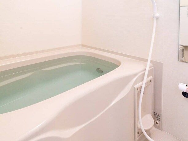 Imagen de la habitación del Hotel Laffitte Ryogoku. Foto 30