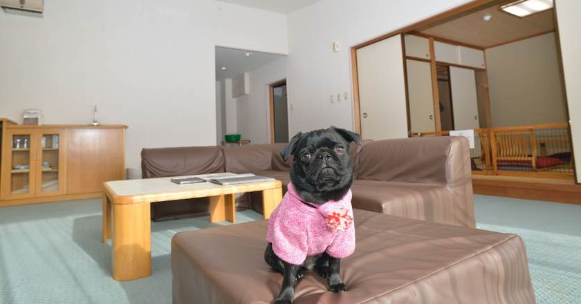 Imagen de la habitación del Hotel Laforet Nasu. Foto 18