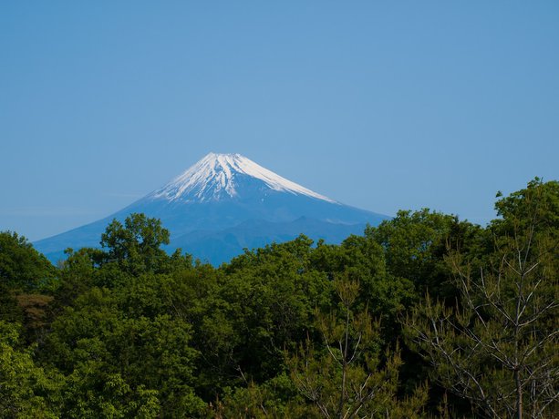Imagen de la habitación del Hotel Laforet Shuzenji. Foto 6