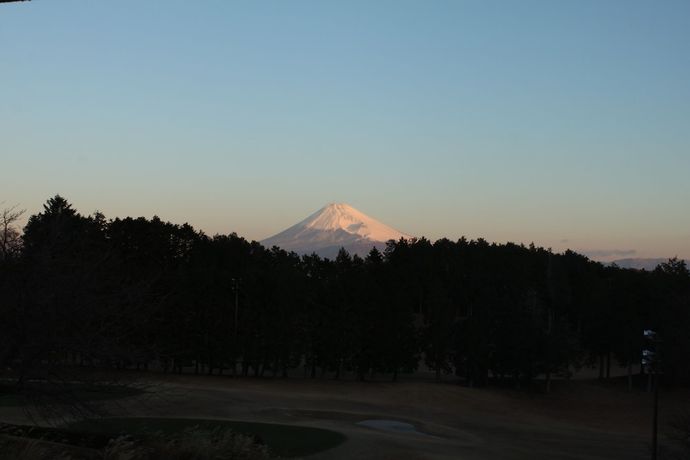 Imagen de la habitación del Hotel Laforet Shuzenji. Foto 17