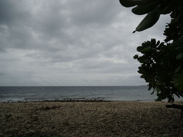 Imagen general del Hotel Lagnason's Place. Foto 6