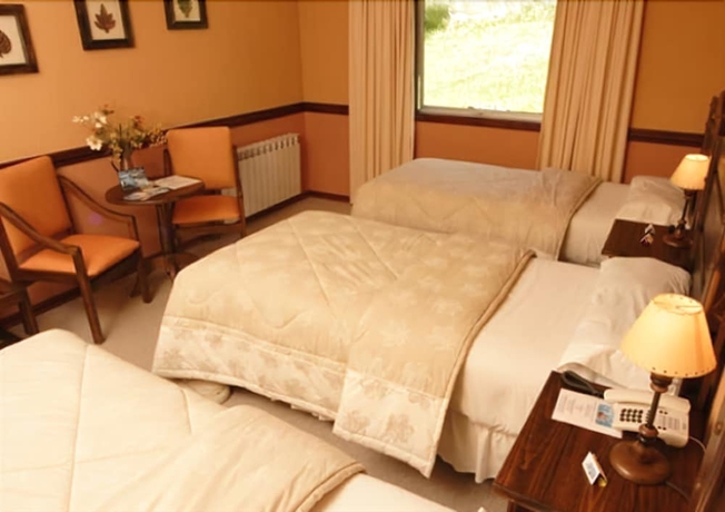 Imagen de la habitación del Hotel Lago Grey. Foto 9