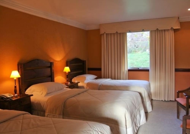 Imagen de la habitación del Hotel Lago Grey. Foto 10