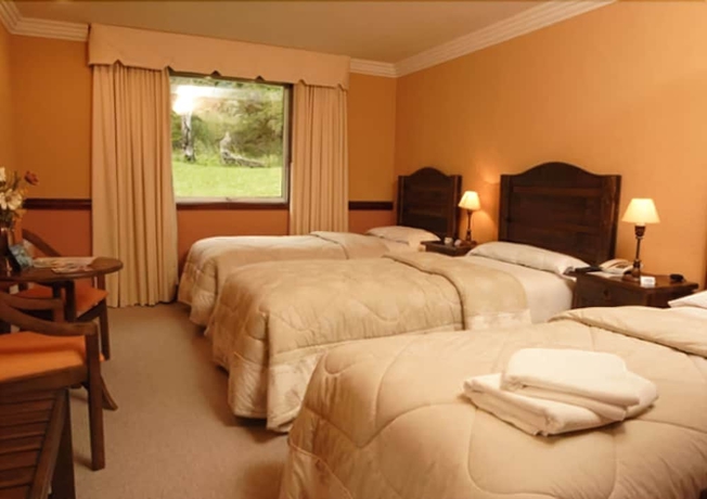 Imagen de la habitación del Hotel Lago Grey. Foto 11