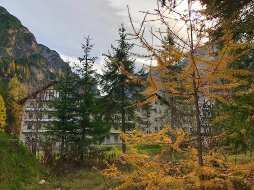 Imagen de la habitación del Hotel Lago di Braies. Foto 6