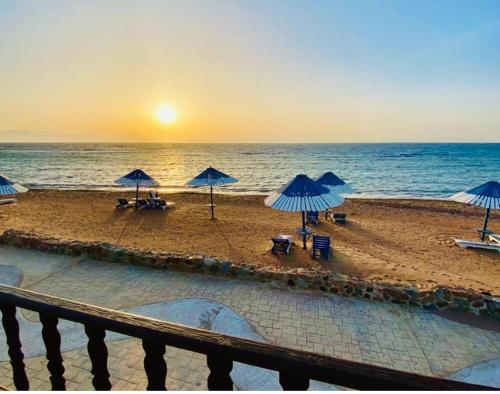Imagen general del Hotel Lagona Dahab. Foto 2
