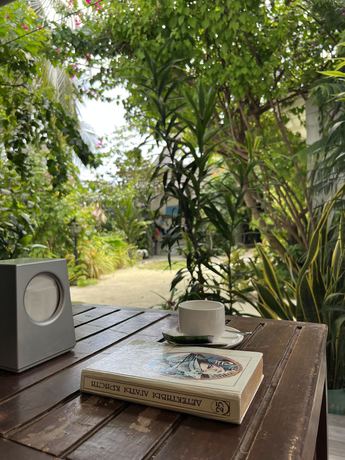 Imagen de la habitación del Hotel Lagoon Villa Thoddoo. Foto 12