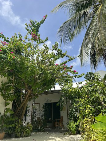 Imagen de la habitación del Hotel Lagoon Villa Thoddoo. Foto 15