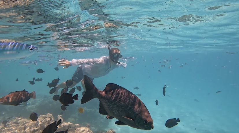 Imagen general del Hotel Lagoon Villa Thoddoo. Foto 7