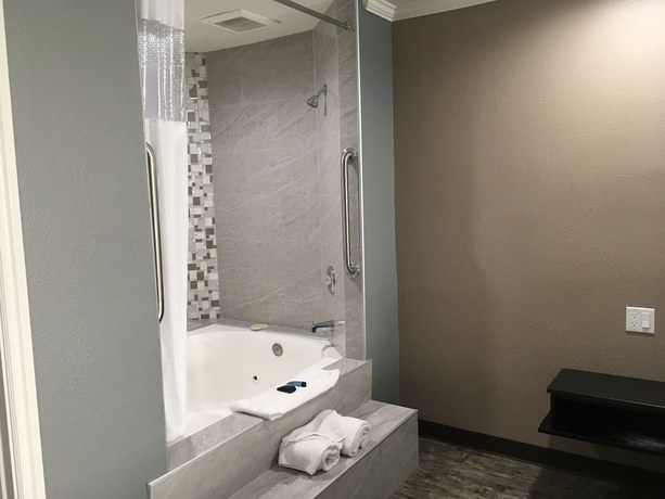 Imagen de la habitación del Hotel Laguna Inn and Suites. Foto 11