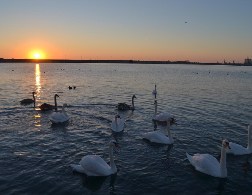 Imagen general del Hotel Laguna, Mangalia. Foto 19