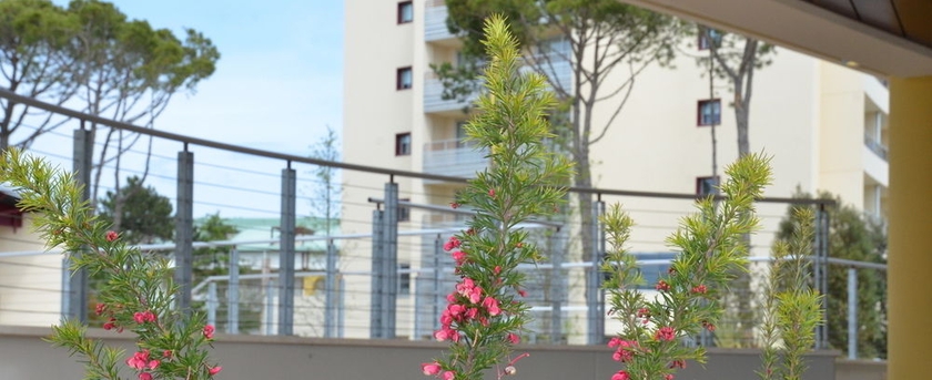 Imagen de los exteriores del Hotel Laguna Park. Foto 12