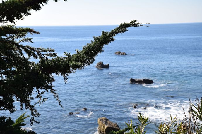 Imagen de los exteriores del Hotel Laguna Shores Studio Suites. Foto 13