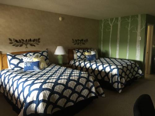 Imagen de la habitación del Hotel Laguna Vista Lodge. Foto 10