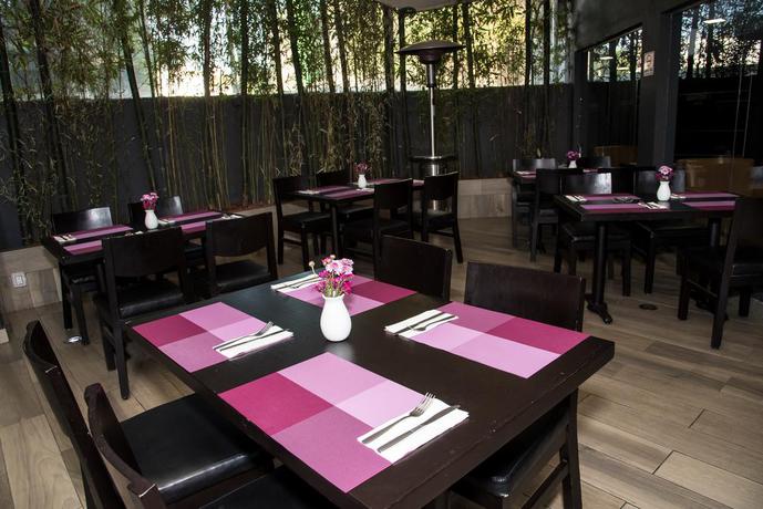 Imagen general del Hotel Laila Cdmx. Foto 8