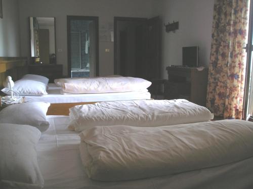 Imagen de la habitación del Hotel Laimerhof. Foto 10