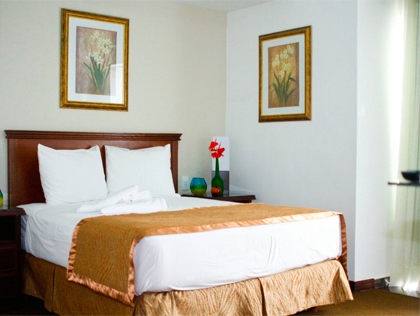 Imagen general del Hotel Laja Real. Foto 3