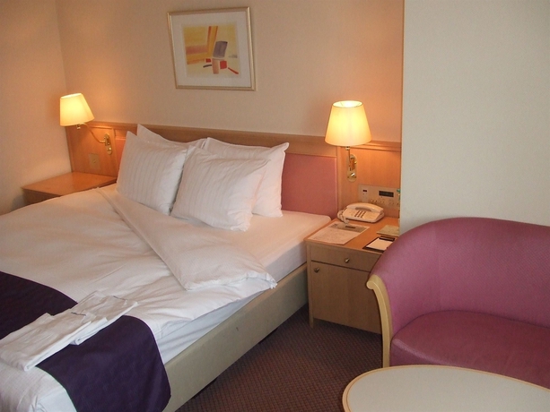 Imagen de la habitación del Hotel Lake Alster Alza Izumiotsu. Foto 3