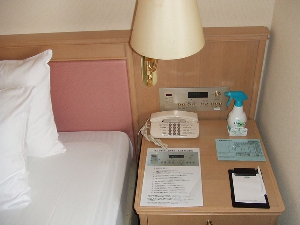 Imagen de la habitación del Hotel Lake Alster Alza Izumiotsu. Foto 4