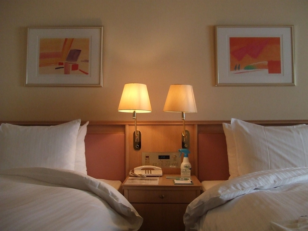 Imagen de la habitación del Hotel Lake Alster Alza Izumiotsu. Foto 7