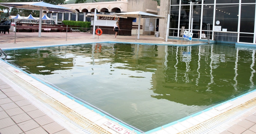 Imagen de la piscina del Hotel Lake House Kinneret. Foto 8