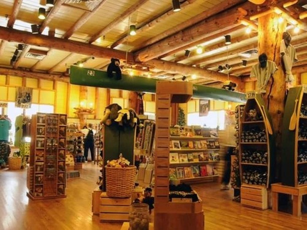 Imagen general del Hotel Lake Lodge Cabins - Inside The Park. Foto 1