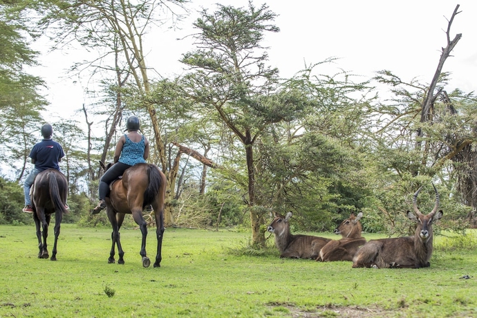 Imagen general del Hotel Lake Naivasha Sopa Resort. Foto 2