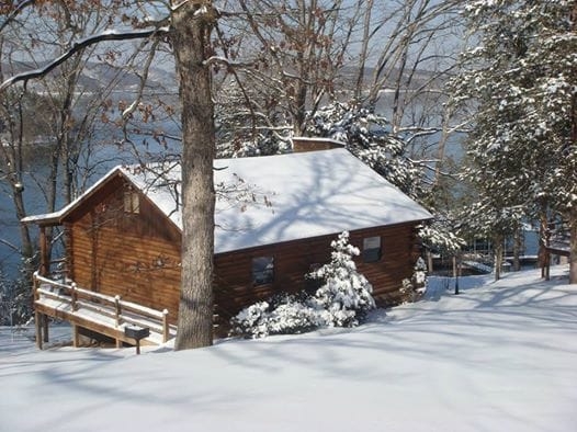 Imagen de la habitación del Hotel Lake Shore Cabins On Beaver Lake. Foto 7